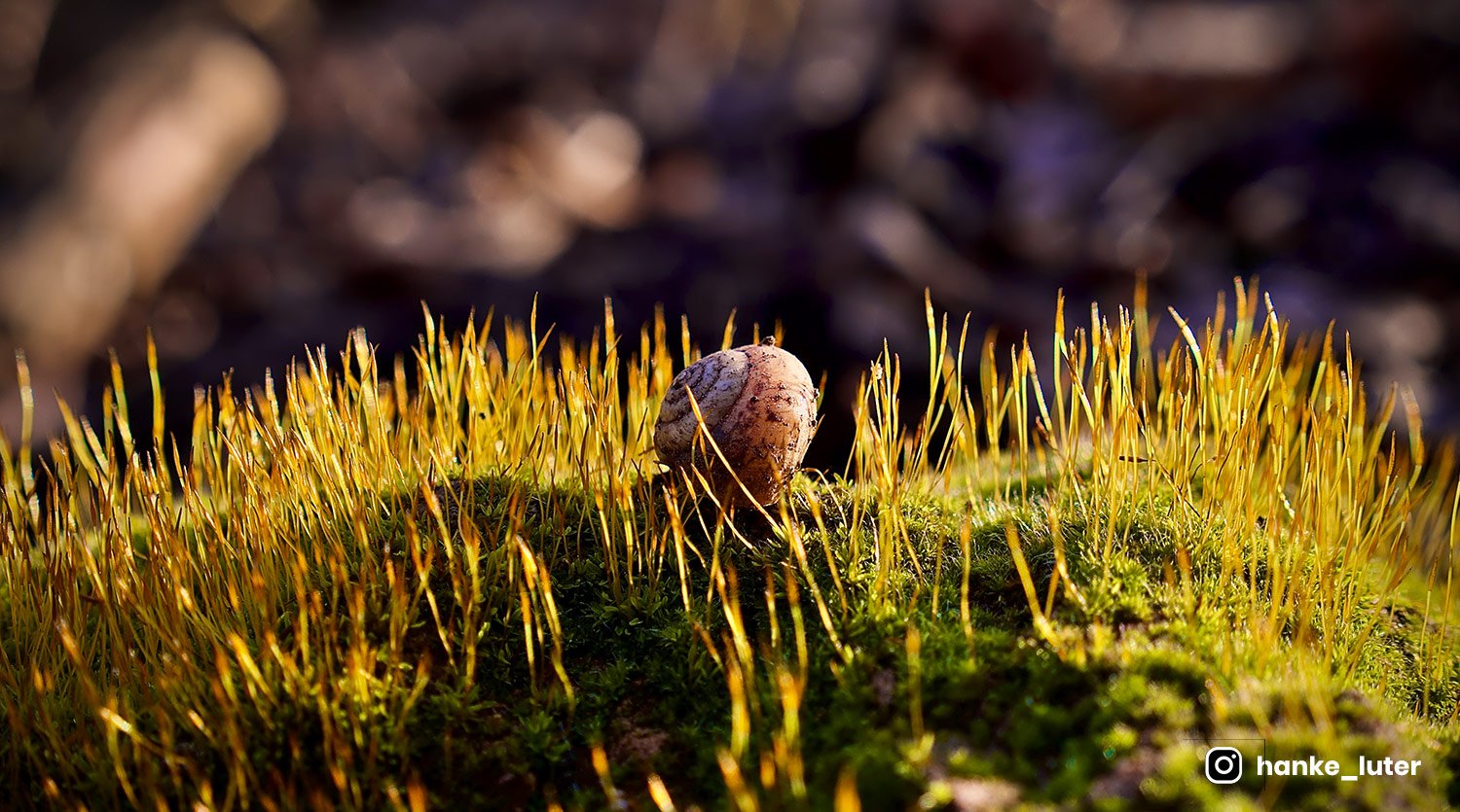 Dynamic charts and graphs demo page