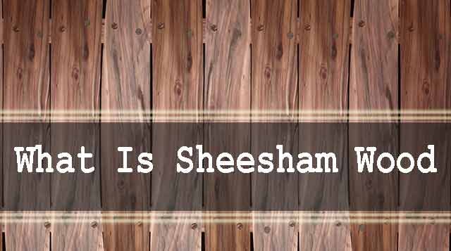 What Is Sheesham Wood And What Makes It Different?