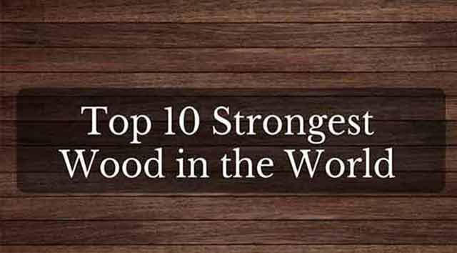 Strongest Wood