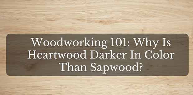 Woodworking 101: Why Heartwood Darker Color Than Sapwood?