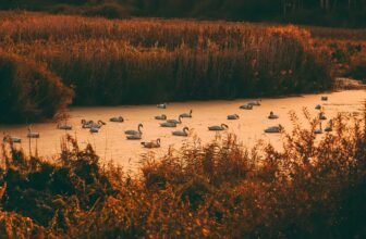 How To Calculate Sealant Quantity Required In Expansion Joint In Concrete