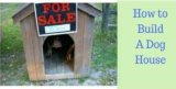 How to Build a Dog House