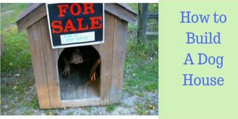 How to Build a Dog House
