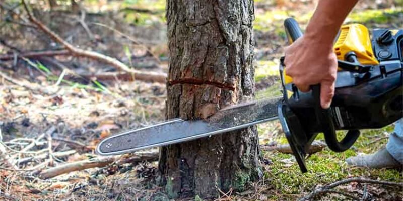 How to use an Electric Chainsaw