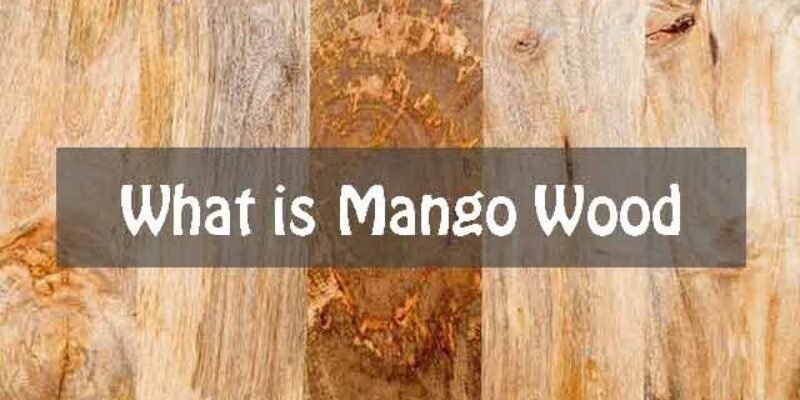 What is Mango Wood? 3 Things That Make It Special