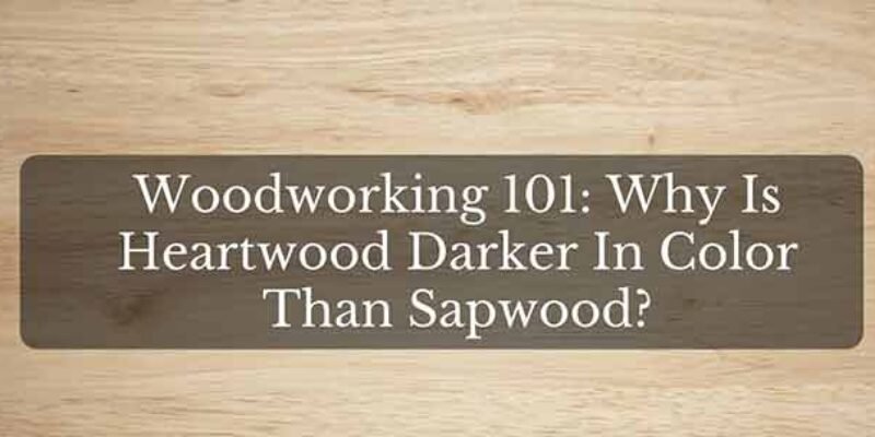Woodworking 101: Why Heartwood Darker Color Than Sapwood?